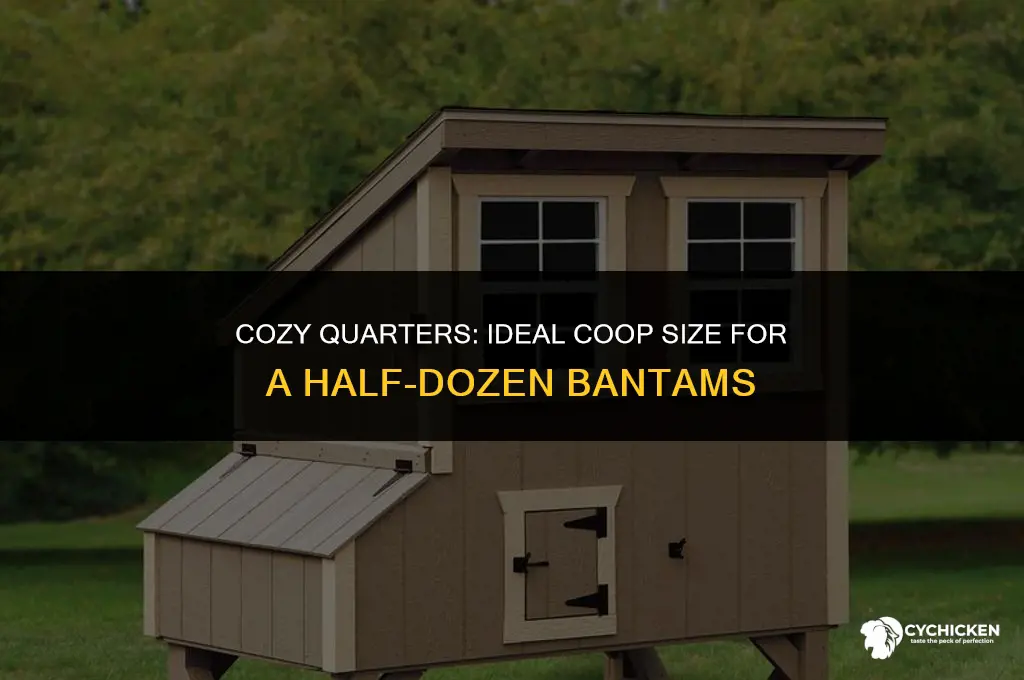 what size chicken coop for 6 bantams