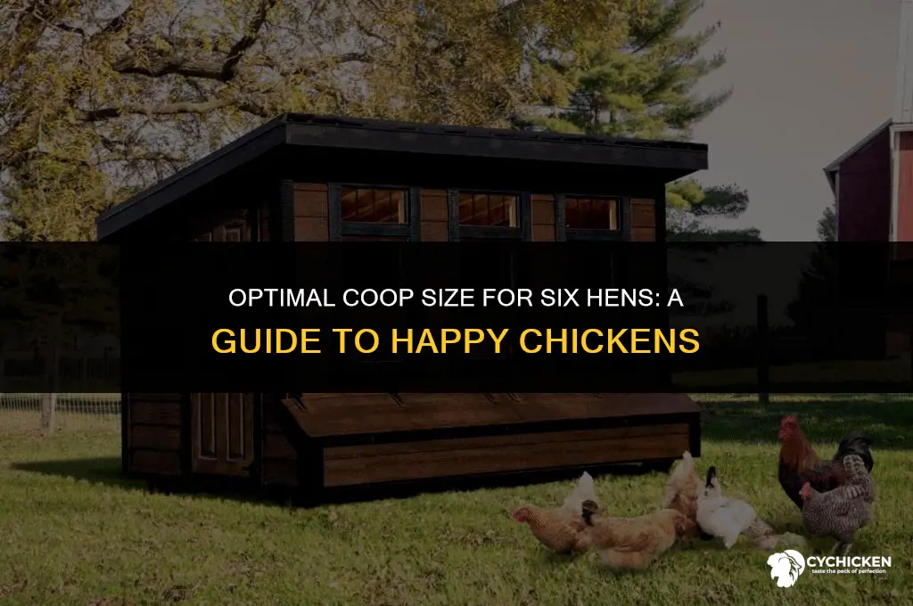 what size chicken coop for 6 hens