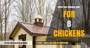 Optimal Coop Size for a Flock of Eight Clucking Companions