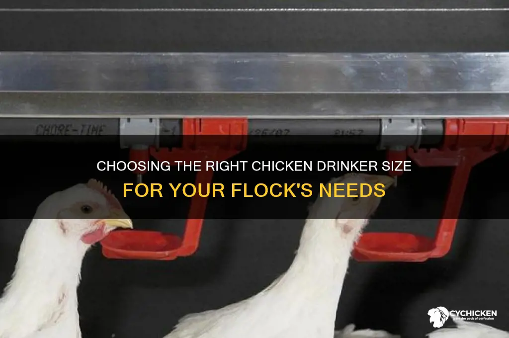 what size chicken drinker do i need