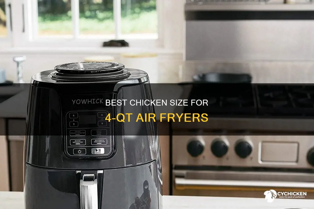 what size chicken fits in 4 qt air fryer