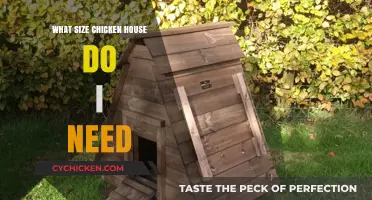 Choosing the Right Chicken House Size for Your Flock's Needs