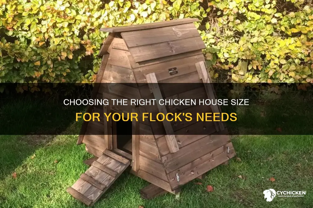 what size chicken house do i need