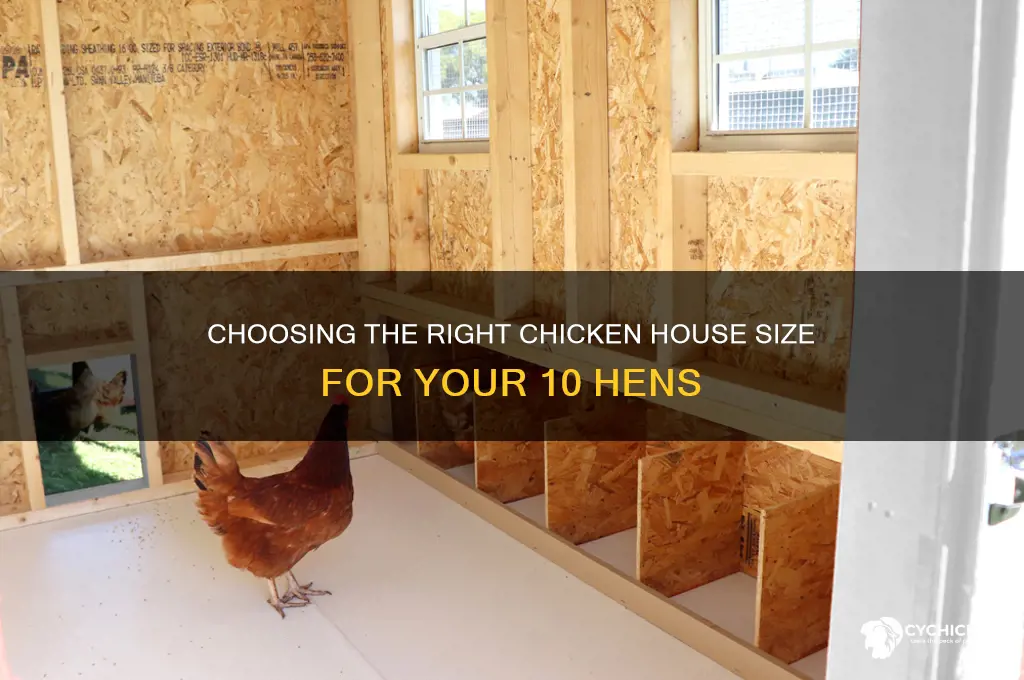 what size chicken house for 10 hens
