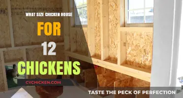 Choosing the Right Chicken House Size for Your Flock of 12