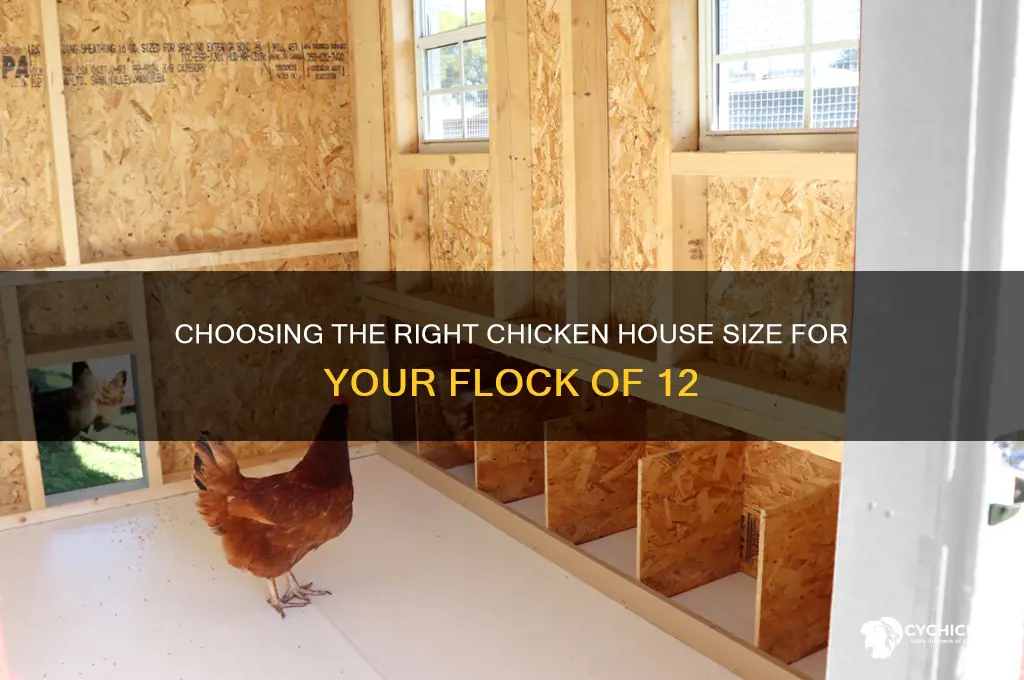 what size chicken house for 12 chickens