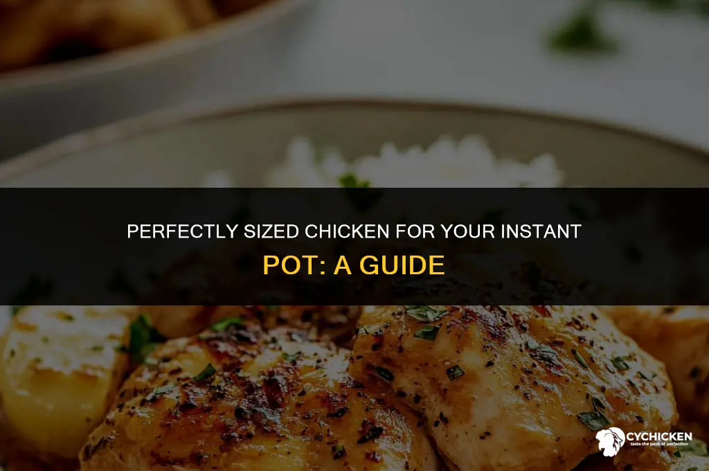 what size chicken instant pot