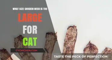 Chicken Neck Safety: Sizing for Cats