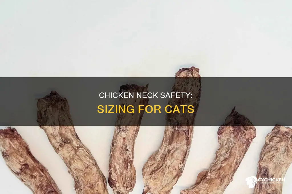 what size chicken neck is too large for cat