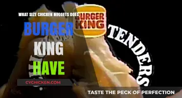 Burger King Chicken Nuggets: Sizes and Options Explained