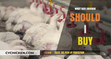 Choosing the Right Chicken Size: A Buyer's Guide for Perfect Meals