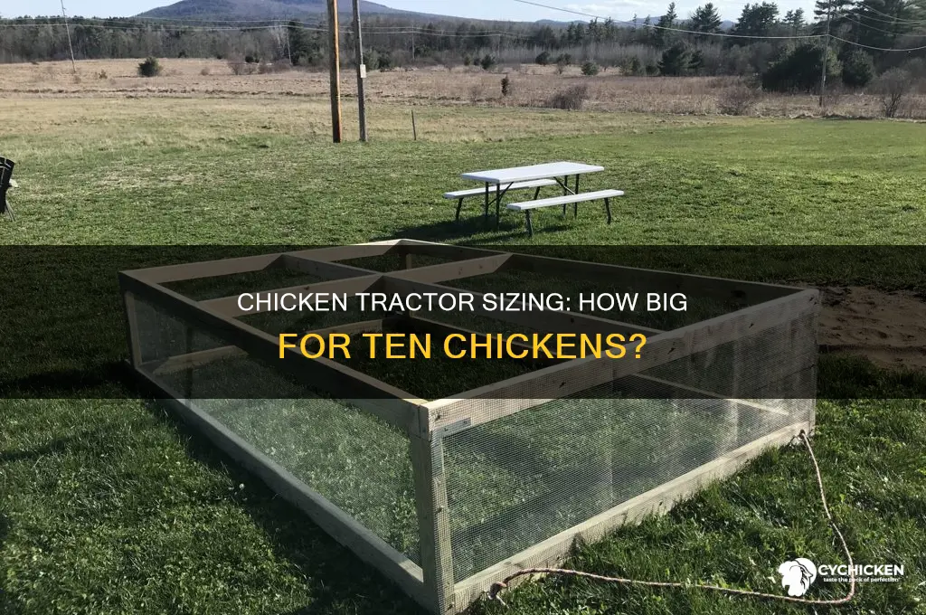 what size chicken tractor do i need for 10 chickens