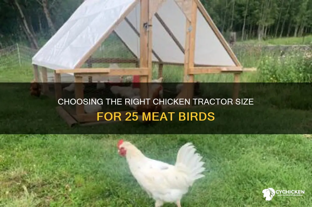 what size chicken tractor for 25 meat birds