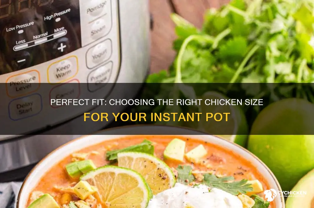 what size chicken will fit in an instapot