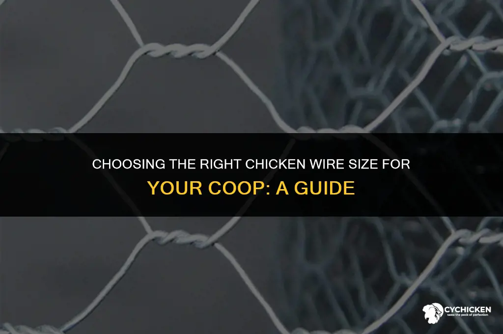 what size chicken wire for coop