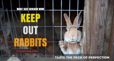 Effective Chicken Wire Sizes to Deter Rabbits from Your Garden