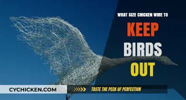 Choosing the Right Chicken Wire Size to Protect Your Garden from Birds
