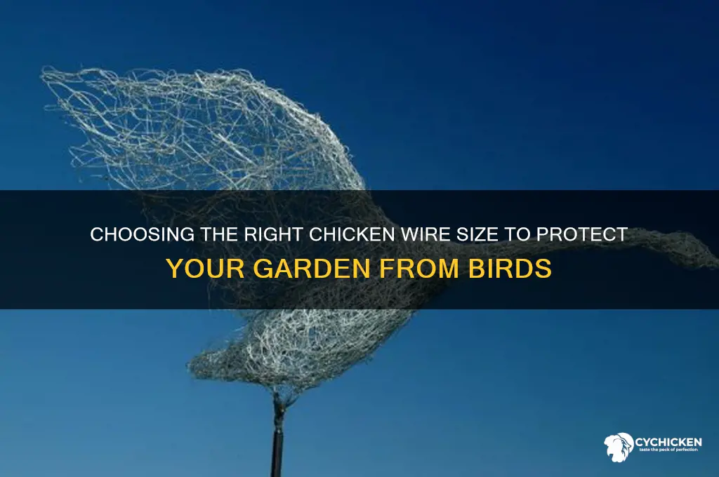 what size chicken wire to keep birds out