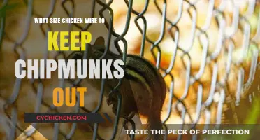 Choosing the Right Chicken Wire Size to Deter Chipmunks Effectively