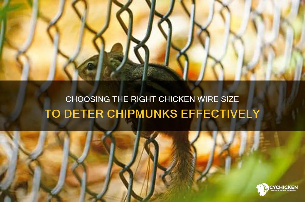 what size chicken wire to keep chipmunks out