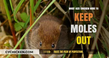 Effective Chicken Wire Sizes to Prevent Moles in Your Garden