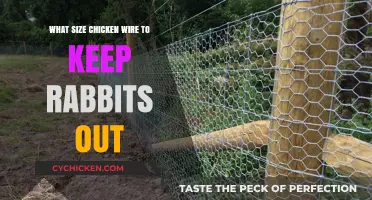 Choosing the Right Chicken Wire Size to Effectively Deter Rabbits