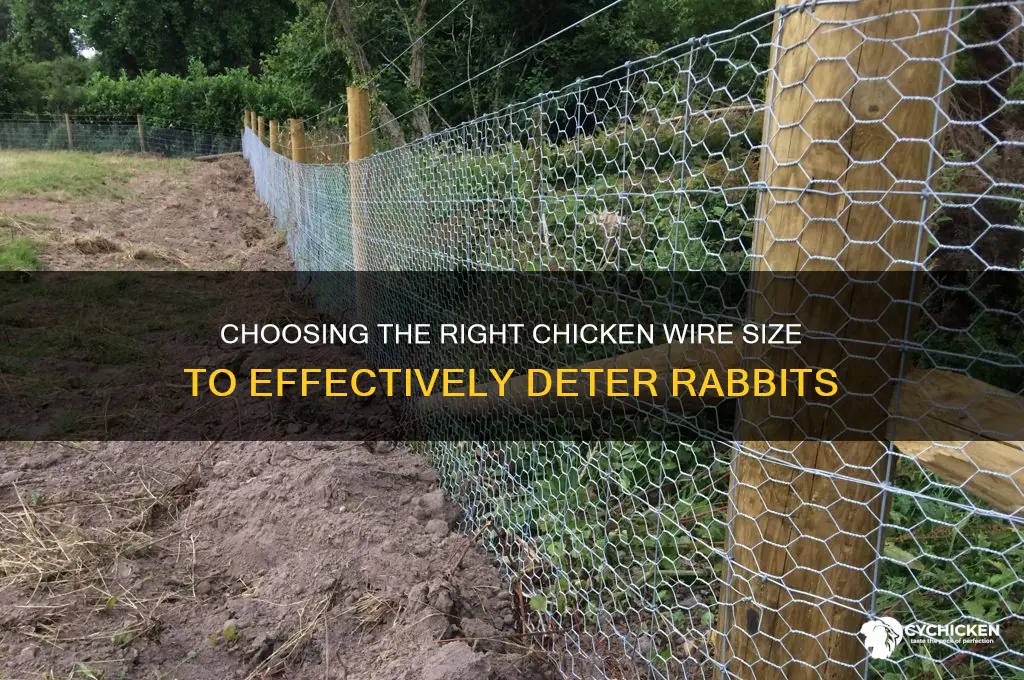 what size chicken wire to keep rabbits out