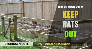 Choosing the Right Chicken Wire Size to Effectively Deter Rats