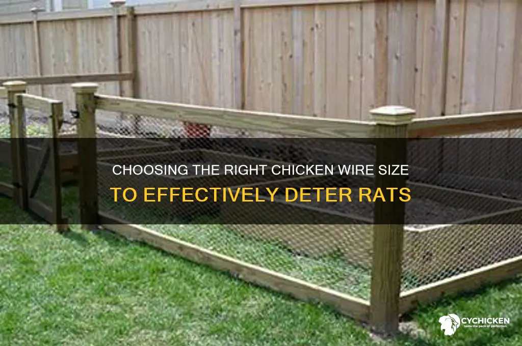 what size chicken wire to keep rats out