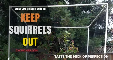 Choosing the Right Chicken Wire Size to Deter Squirrels Effectively