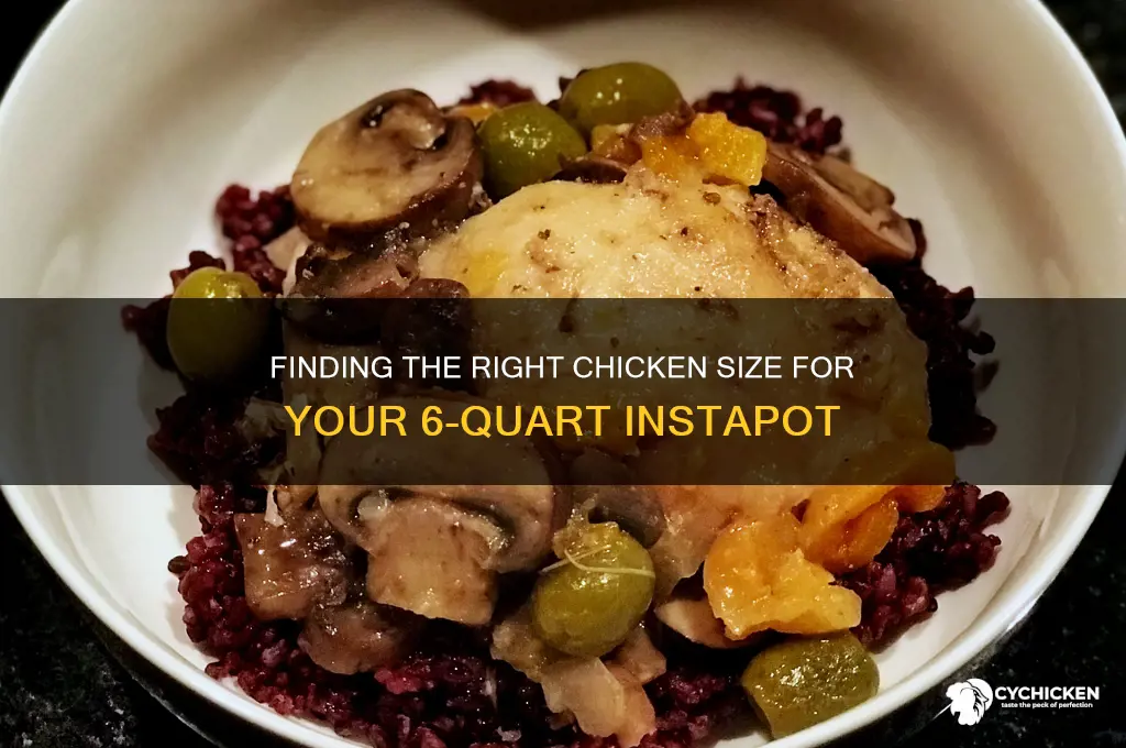 what size chicken xan fit in a 6 quart instapot
