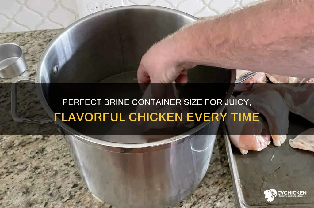 what size container to brine a chicken