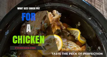 Perfectly Sized Crock Pot for a Juicy Chicken Feast