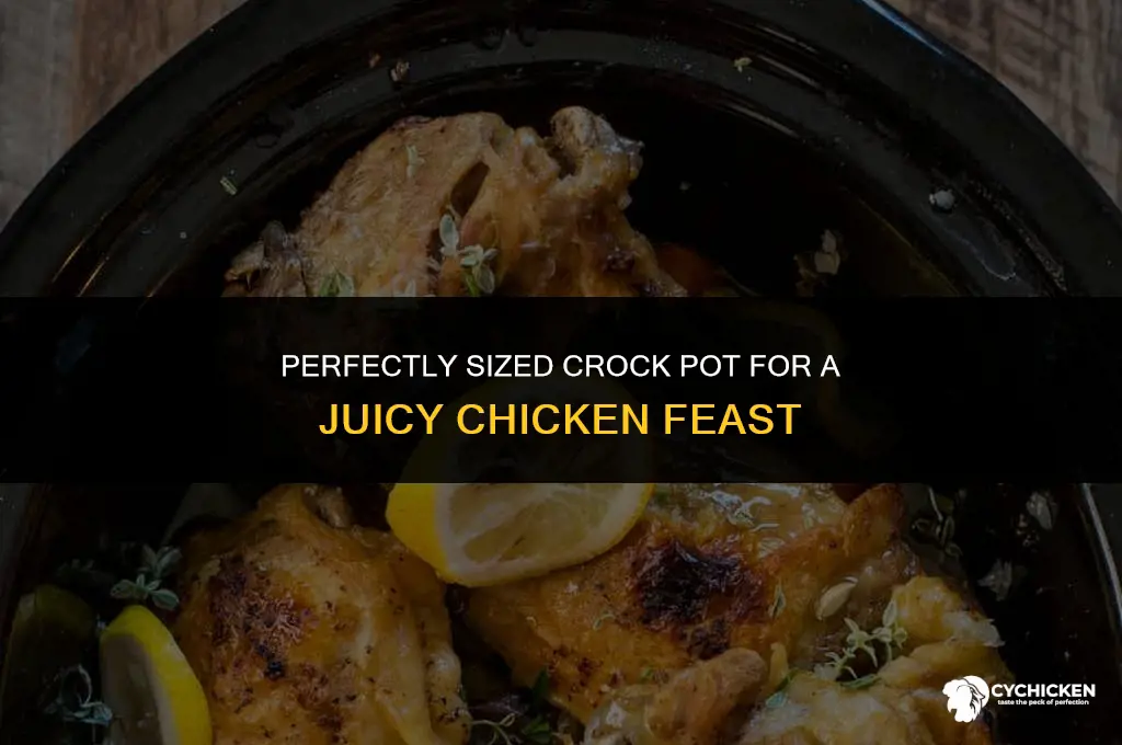 what size crock pot for a chicken