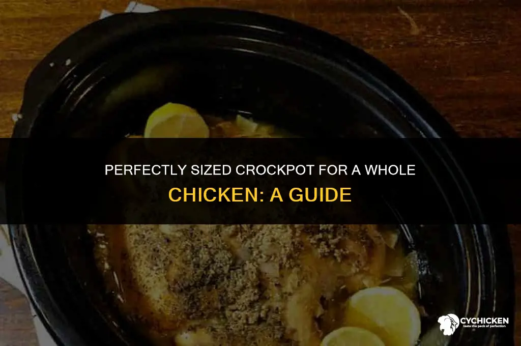 what size crockpot for a whole chicken