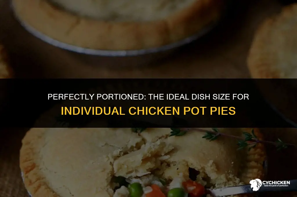 what size dishes are for individual chicken pot pies