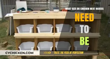 Chicken Nesting Box Sizes: How Big Is Too Big?