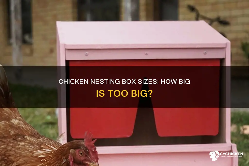 what size do chicken next boxees need to be