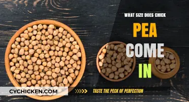 Exploring Chickpea Sizes: Varieties and Dimensions Unveiled