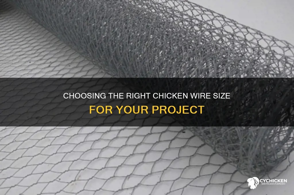 what size does chicken wire come in