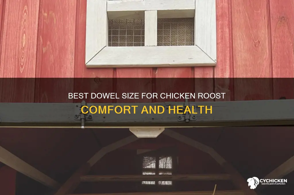 what size dowel is best for a chicken roost