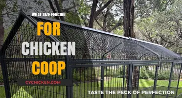 Optimal Fencing Dimensions for a Secure and Spacious Chicken Coop