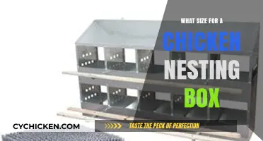 Choosing the Perfect Chicken Nesting Box Size for Happy Hens