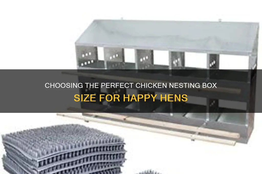 what size for a chicken nesting box