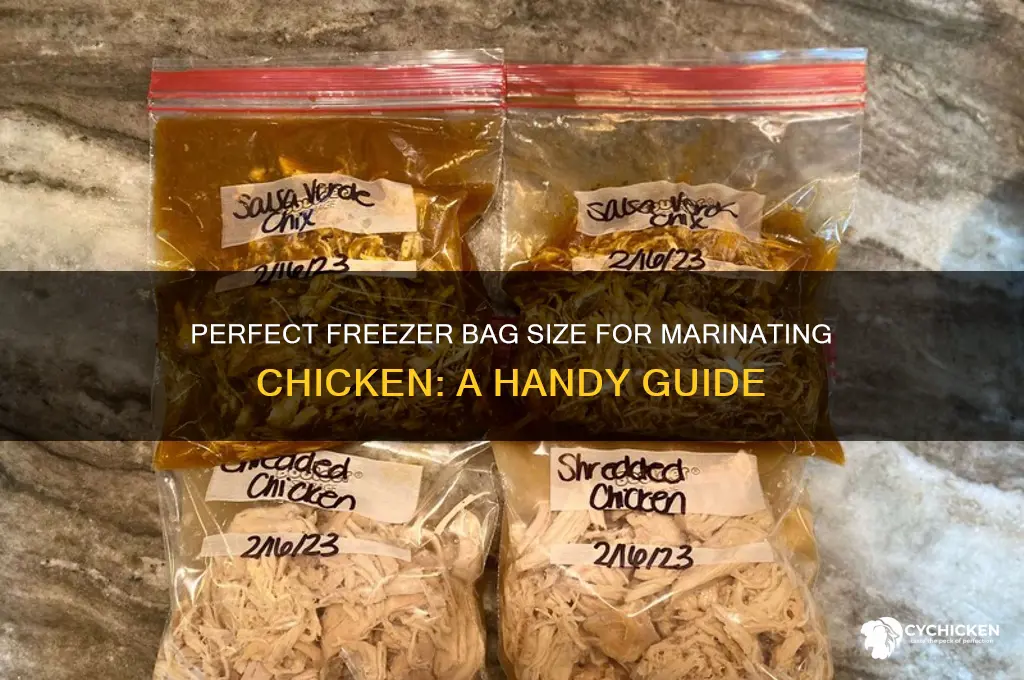 what size freezer bag for marinated chicken