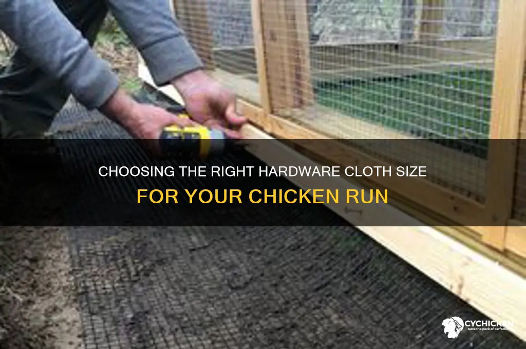 what size hardware cloth for chicken run
