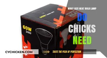 Choosing the Right Heat Bulb Size for Your Baby Chicks