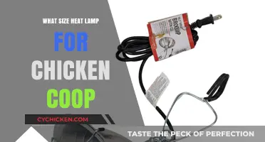 Choosing the Perfect Heat Lamp Size for Your Chicken Coop