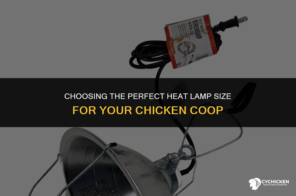 what size heat lamp for chicken coop