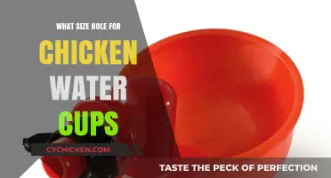 Perfect Chicken Water Cup Holes: Size Guide for Easy Hydration